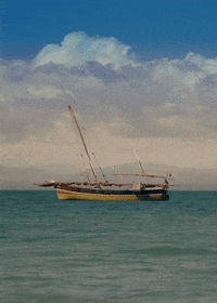 ocean landscape GIF by Head Like an Orange