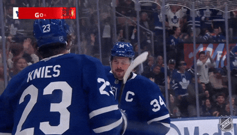 Happy National Hockey League GIF by NHL