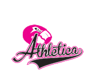 Southcoastmetro f45 athletica south coast f45 south coast metro Sticker