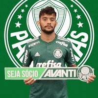 gustavo scarpa avanti GIF by SE Palmeiras