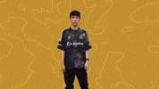 League Of Legends Esports GIF by 100 Thieves