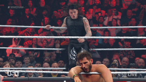 Wwe Wrestling GIF by USA Network