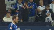 Soccer S04 GIF by FC Schalke 04
