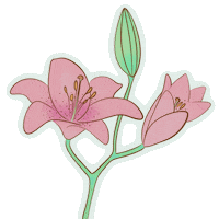 Happy Summer Sticker