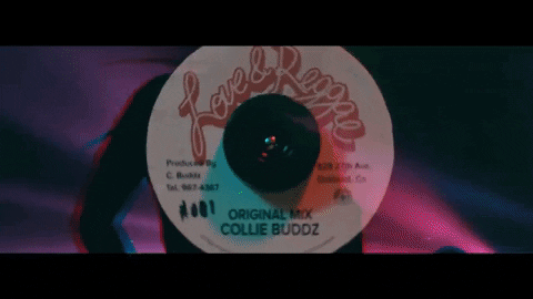 Reggae Love GIF by Collie Buddz