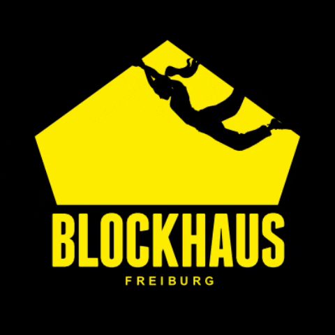Blockhausfreiburg giphygifmaker bouldering blockhausfreiburg bouldergym GIF