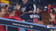 Major League Baseball Sport GIF by MLB