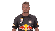 Keeper Come To Me Sticker by FC Red Bull Salzburg
