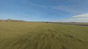 Formula 1 Sport GIF by Mercedes-AMG Petronas Formula One Team