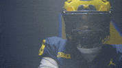 Go Blue Michigan Football GIF by Michigan Athletics