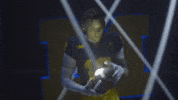 Go Blue Michigan Football GIF by Michigan Athletics