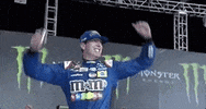 kyle busch GIF by NASCAR