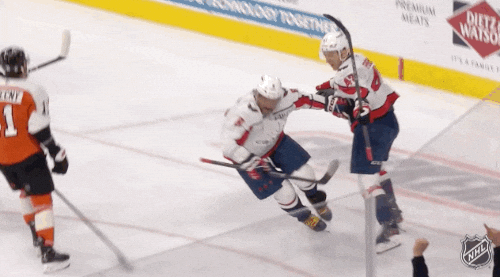 Happy Washington Capitals GIF by NHL