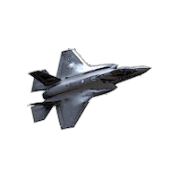 Air Force Panther Sticker by RampCheckGlobal