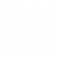 nushucrew networking female empowerment female business nushu GIF