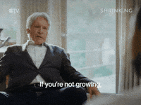 Shrinking Harrison Ford GIF by Apple TV