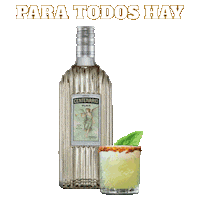 Tequila Centenario Sticker by Casa Cuervo