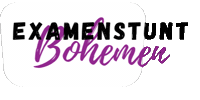 Marisbohemen Sticker by Maris College