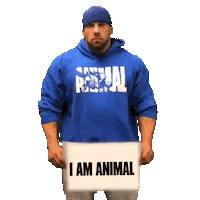 Fitness Workout Sticker by Universal Nutrition Europe