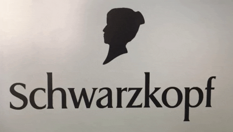 ebdredaccin giphygifmaker GIF