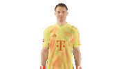 Fc Bayern Applause Sticker by Bundesliga