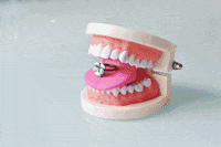 still life art GIF
