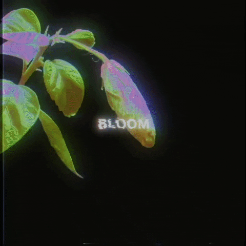 Flower Glow GIF