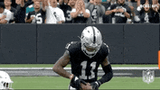 Las Vegas Raiders Football GIF by NFL