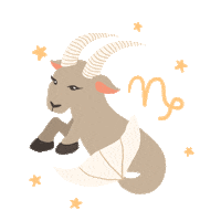 Astrology Zodiac Sticker