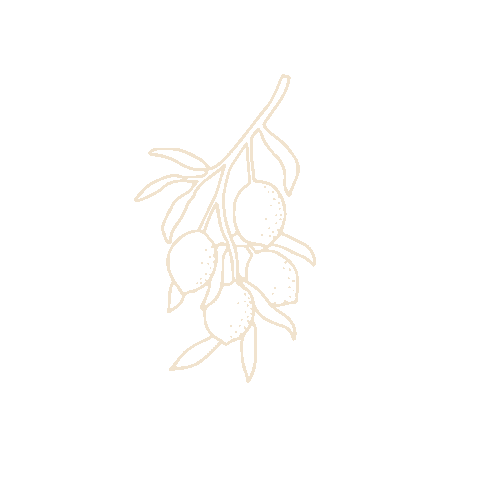 Lemon Citrus Sticker by studio tent