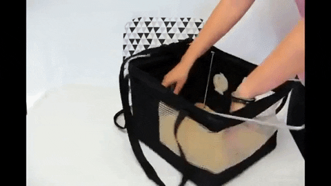 tbest4youstore giphyupload GIF