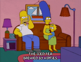homer simpson episode 3 GIF