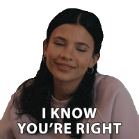 I See What You Mean Fair Point Sticker by NETFLIX