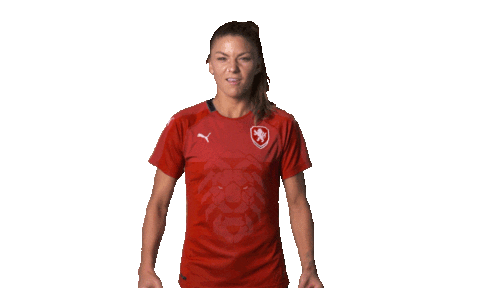 holky_taky giphyupload celebration goal women Sticker