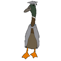 York Uni Duck Sticker by University of York