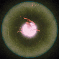 Dance Wtf GIF by davidvnun