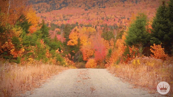 Ad gif. Ad for Hallmark. It's autumn and the road is filled with gorgeous leaves. Suddenly, Santa Claus comes running down the road with his belly spilling out of his suit.