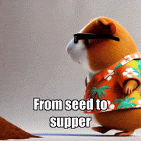 GIF by Guinea Gambino
