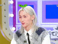 Stray Kids Skz GIF