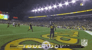 Regular Season Football GIF by NFL