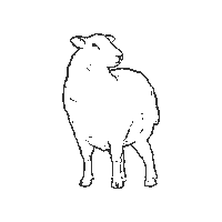 BiosfarVanerskargarden sheep far unesco agenda 2030 Sticker
