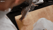 Australia Bones GIF by MasterChefAU