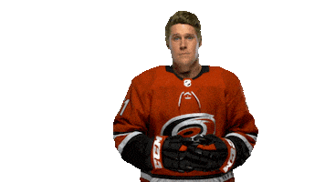 Jake Gardiner Sticker by Carolina Hurricanes