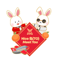 flymyairline rabbit chinese new year airline myairline Sticker