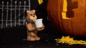 coffee fiupanthers GIF by FIU