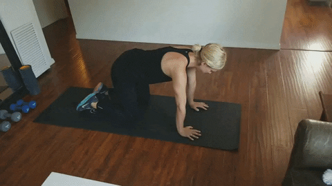 jackrabbit22 giphyupload GIF