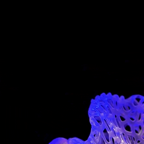 Formlabs loop design abstract soft GIF