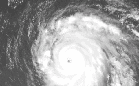 hurricane GIF