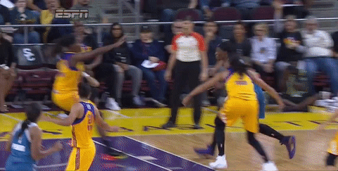 game 3 basketball GIF by WNBA