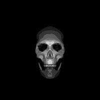 PERFECTL00P loop glitch time black and white GIF